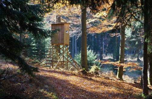 Ferienhaus am Wald - Einzelstandort mit Wallbox - Foto 19