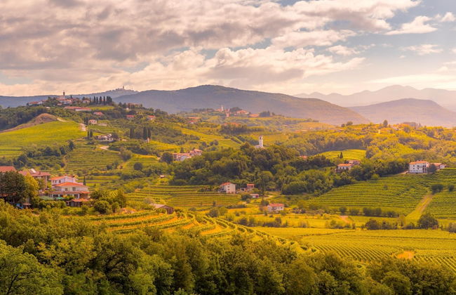 Pool & Sauna Villa Gizela - Foto 58