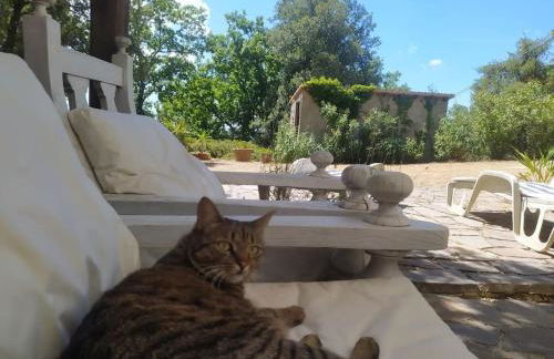 Podere Casa La Gualda - Foto 20