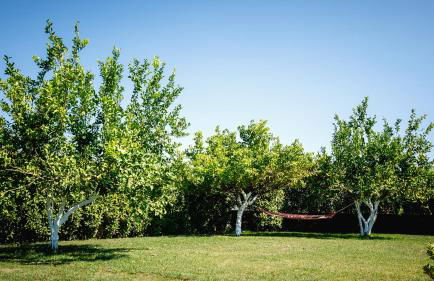 Gravaris House - Foto 64