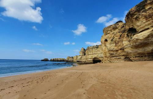 Casa Palmeria , Quinta da Saudade - Foto 9