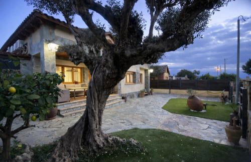 Winahost les Faldas del Montseny - Foto 15