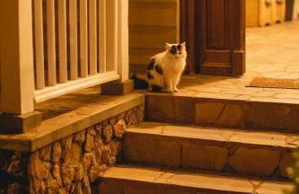 Recanto Da Paz Hotel Atibaia - Pet Friendly - Foto 10