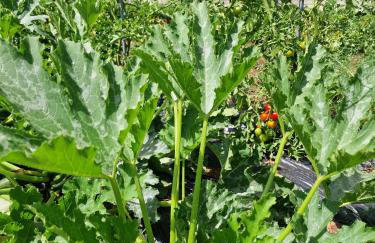 Charming village house with pool - Photo 27