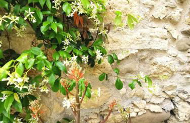 Castellana House - Photo 26