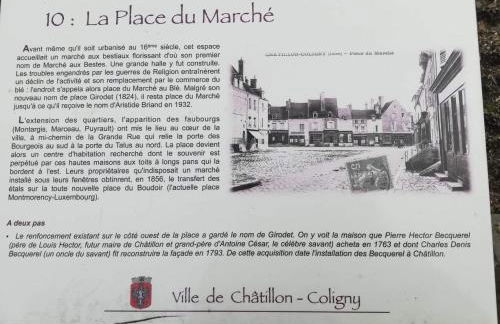 Le Loft Montargis Gien maison de ville - Photo 35