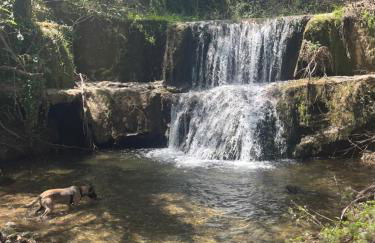 La Casa del Jardín - Foto 36