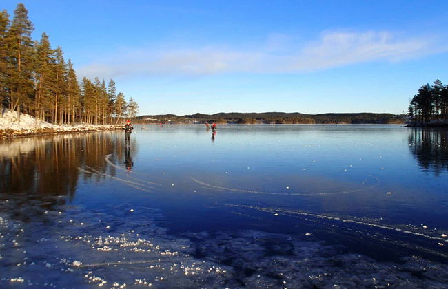 Stockholm Ice Skating Class - Foto 3