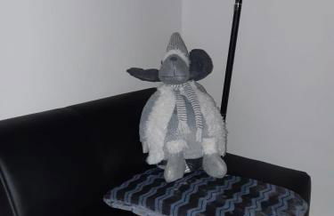 Schalke GelsenkirchenSie wollen Günstig und KomfortabelWir auch für unsere bestenDie Gäste - Foto 18