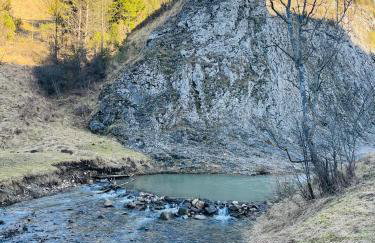 Apartament Primula 1 - Photo 19