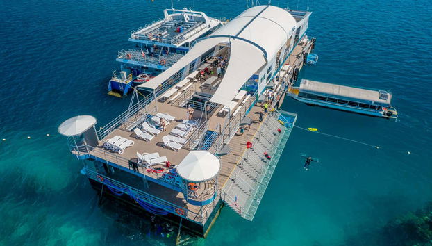 Outer Great Barrier Reef Cruise & Reef Magic Platform - Foto 3