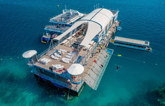 Excursión a la Gran Barrera de Coral y plataforma Reef Magic - Foto 3