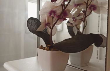 Apto céntrico INDUSTRIAS VUT 47-215 - Foto 15