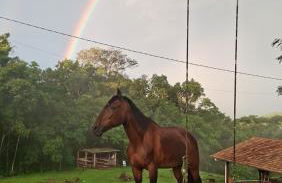 Chalé lindo e confortável! - Foto 17