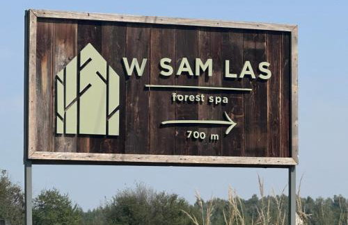 Domki W Sam Las & SPA Lubenia - Foto 17