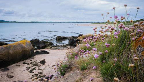 Rive gauche (bord de mer) - Foto 5