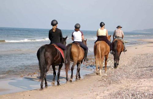 La casa de Montse Vivienda Vacacional Playa de la Tejita - Foto 60