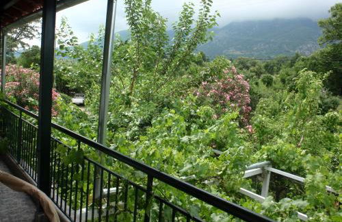 Petrouda's Apartments - Foto 14