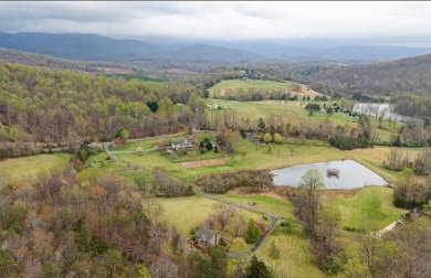 Family and Pet Friendly Retreat with Sauna, Firepit, Pond Views Near Route 151 Wineries - Foto 4