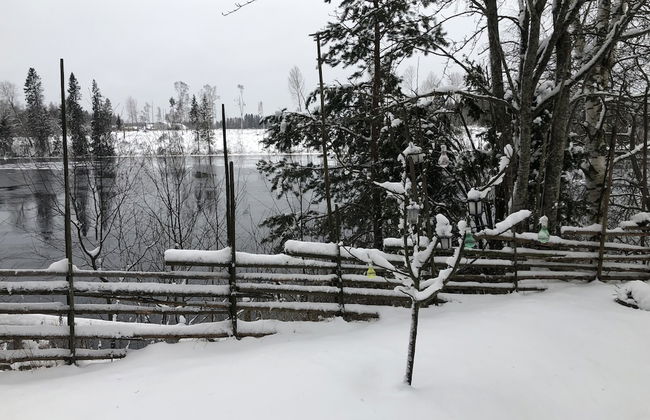 Apple Tree Cabin With River Views - Foto 32