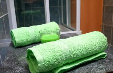 Bicho House - Foto 30