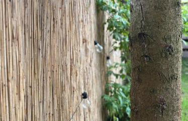 Butelkowa Zieleń - Foto 38