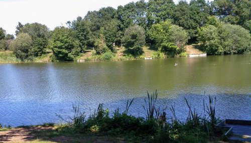 Beeches Shepherd Hut - Photo 2