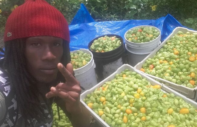 Berkey's Jungle Paradise - Photo 60