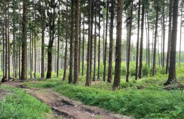 Wzgórze Artystów - Foto 23