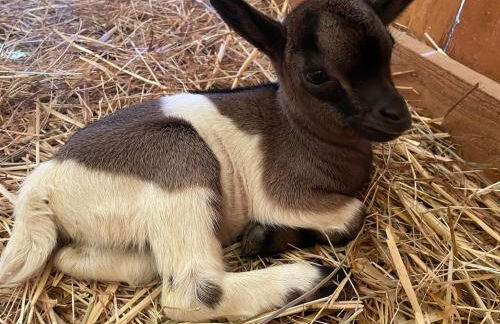 Azienda agricola Panorama - Foto 20