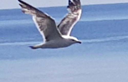 La Casa di Wioletta - Foto 52