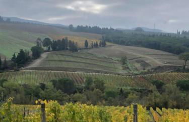 FAETOLE typical Tuscan country house near FLORENCE - Foto 49