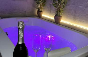 Spa - Sauna privatif plein centre - Photo 22