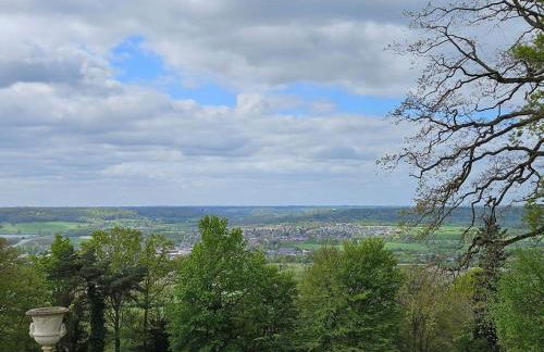 La Maison du Grand Sapin - Foto 17