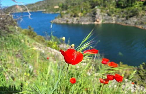 Casa Rural La Labranza - Foto 6