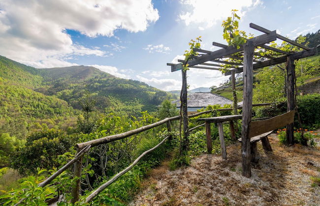 El Bosque de las Viñas - Foto 75
