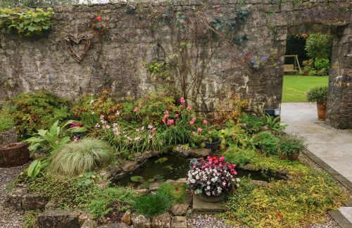 Little Cloud - Photo 19