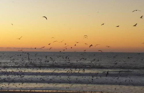 Bela Vista Barrinha - Foto 19