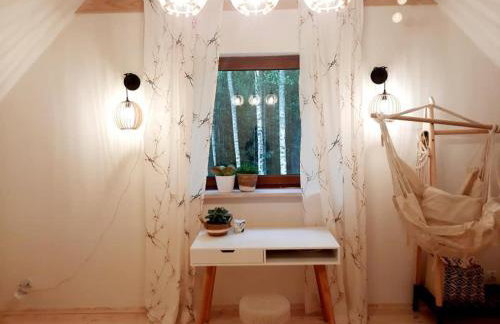 Między Brzozami - Foto 38