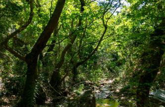 Cottage home at South Chania - Foto 27