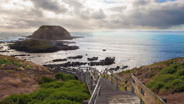 Phillip Island Wildlife and Penguin Parade - Full-Day Tour - Photo 2