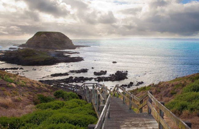 Phillip Island Wildlife and Penguin Parade - Full-Day Tour - Photo 2