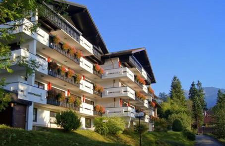 Alpensternchen - Foto 20