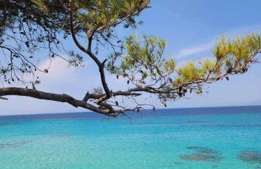 Exotic Apartments Nikiti - Photo 39