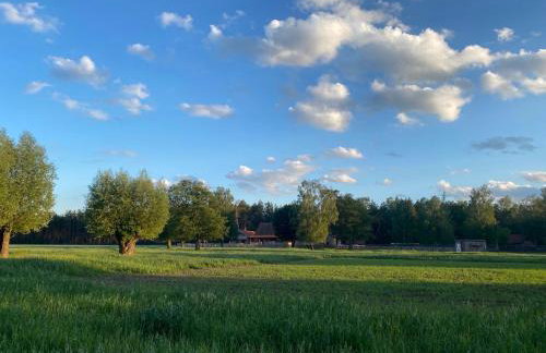 Farma Puchałowo - Foto 71