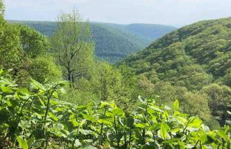 2 Bedroom 2 Bathroom - Blue Knob All Season Resort Condo - Foto 37