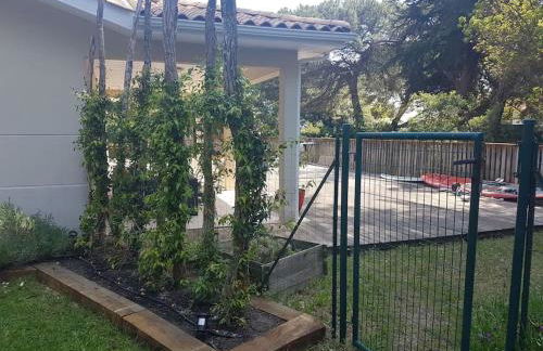 Belle villa au Cap Ferret Quartier MIMBEAU - Foto 9