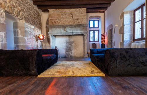 Chateau de Saint Dau - Foto 41