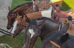 Pension Kroppental - Foto 42