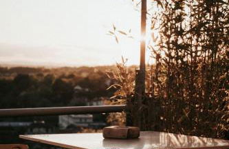 La Maison Perchée - Foto 45